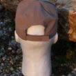 AK Operators Union Classic Hat - Khaki, back view
