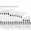 KNS-Mod-2-Piston-Product-Sizing-Chart-Full Size